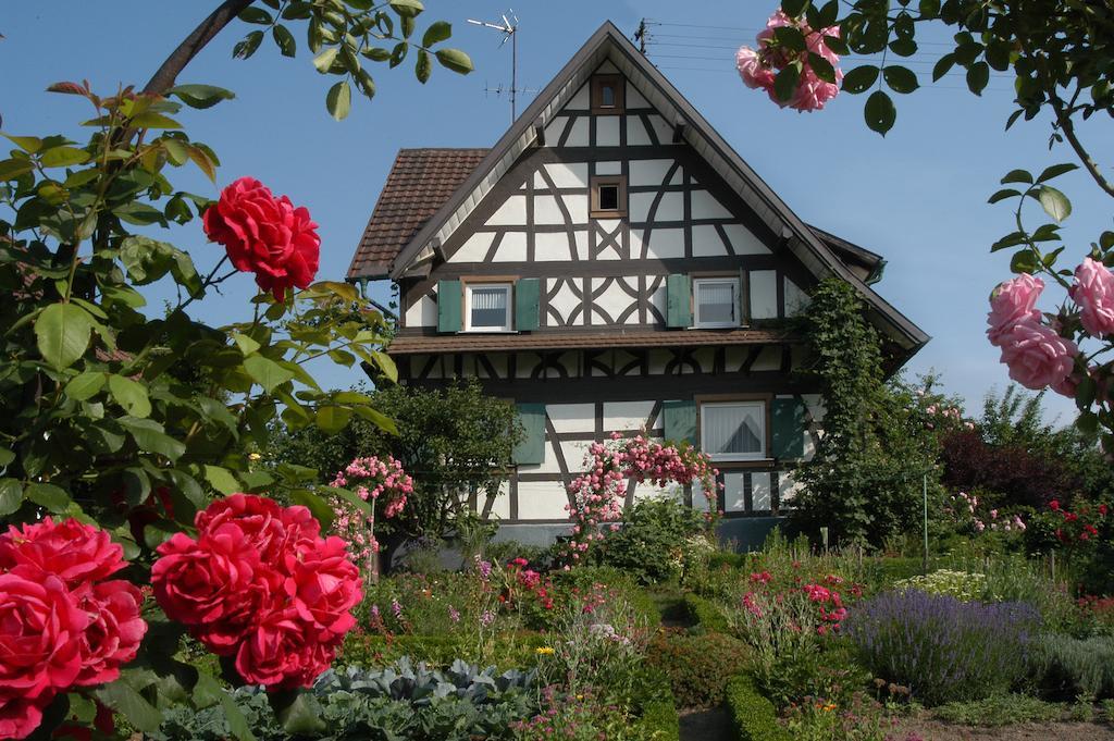 Pflugwirts Hotel Und Gasthaus Oberkirch  Dış mekan fotoğraf